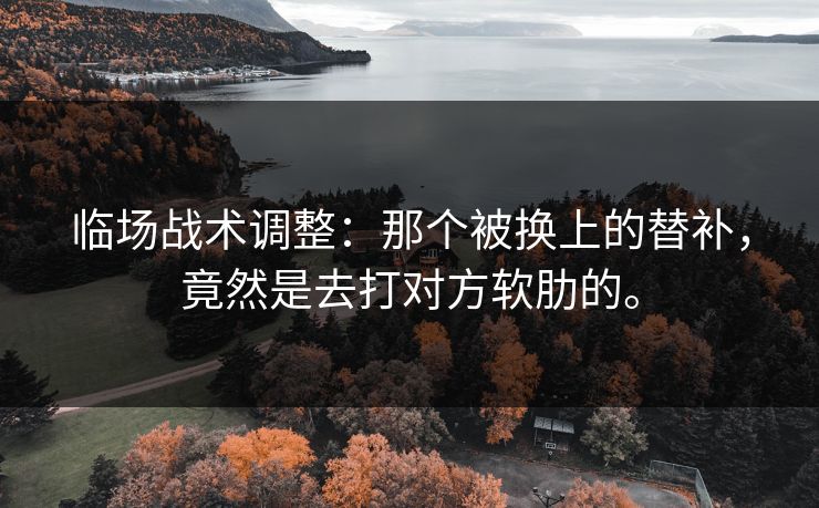 临场战术调整：那个被换上的替补，竟然是去打对方软肋的。